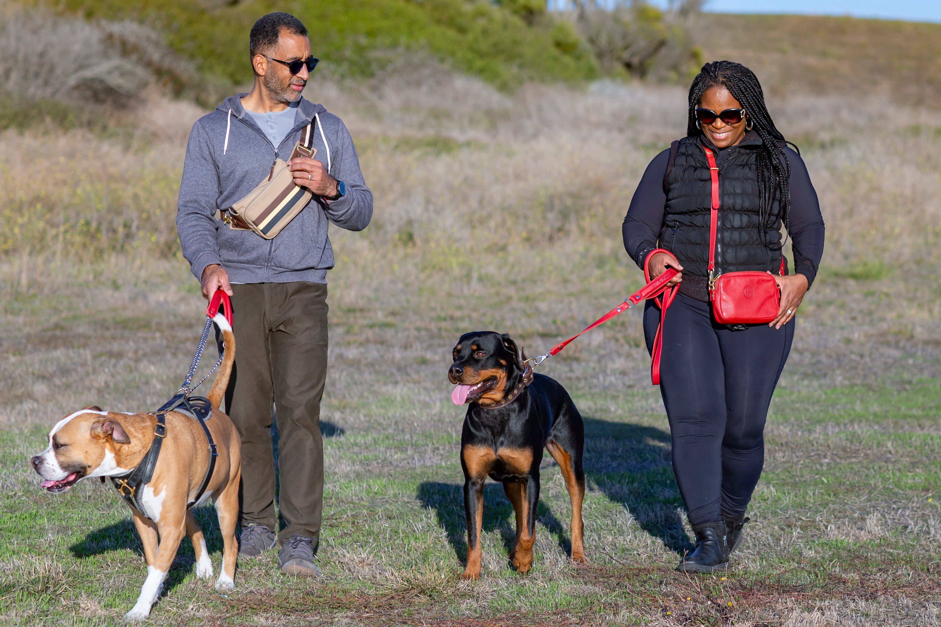 Two people walking two dogs on a grassy field